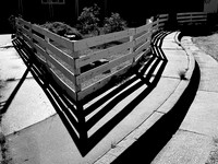 IMG_0411
