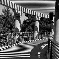 IMG_9810