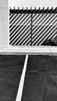 IMG_0770