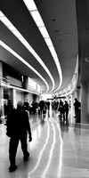 IMG_0293