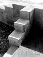 IMG_0314