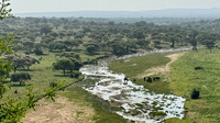 Tanzania Wildlife Safari 2026