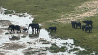 IMG_0155