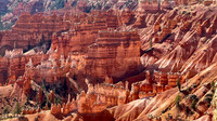 IMG_4816