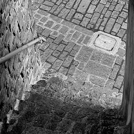 IMG_8691