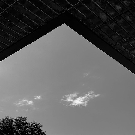 IMG_3751