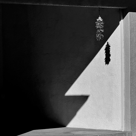 IMG_3249