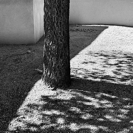 IMG_8120