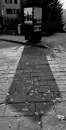 IMG_9378
