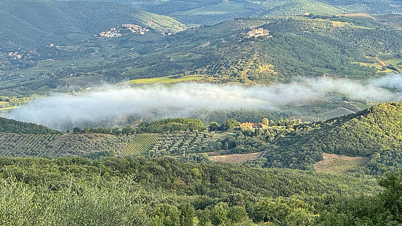 IMG_9887