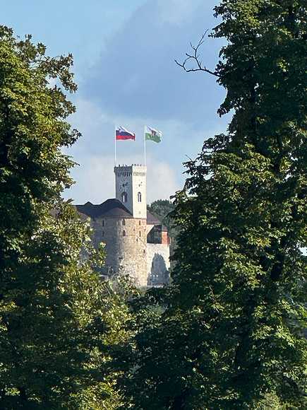 IMG_7886