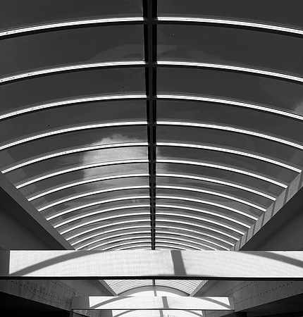 IMG_8928